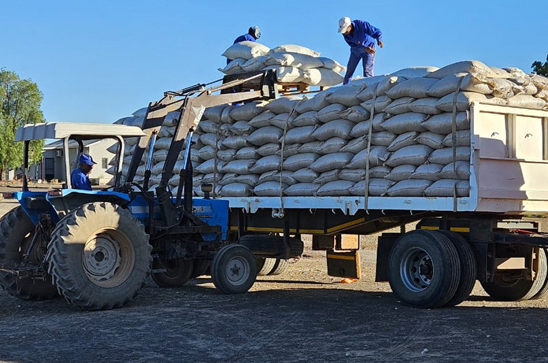 Flatbed truck being loaded with large sacks of grain using a forklift